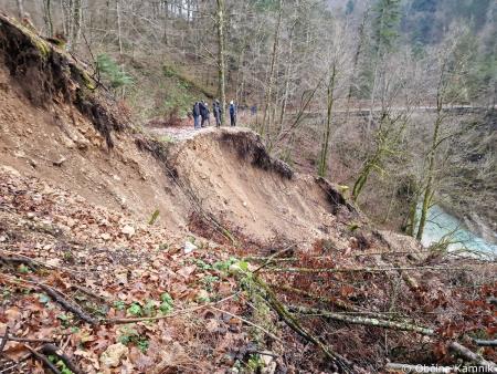 Terenski ogledi poškodovanih gozdnih cest (3)